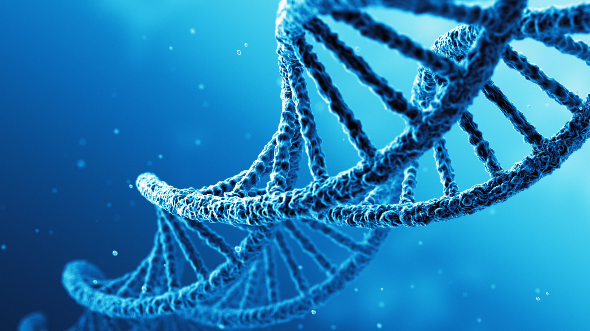 泸州PD-L1检测去哪做多少钱