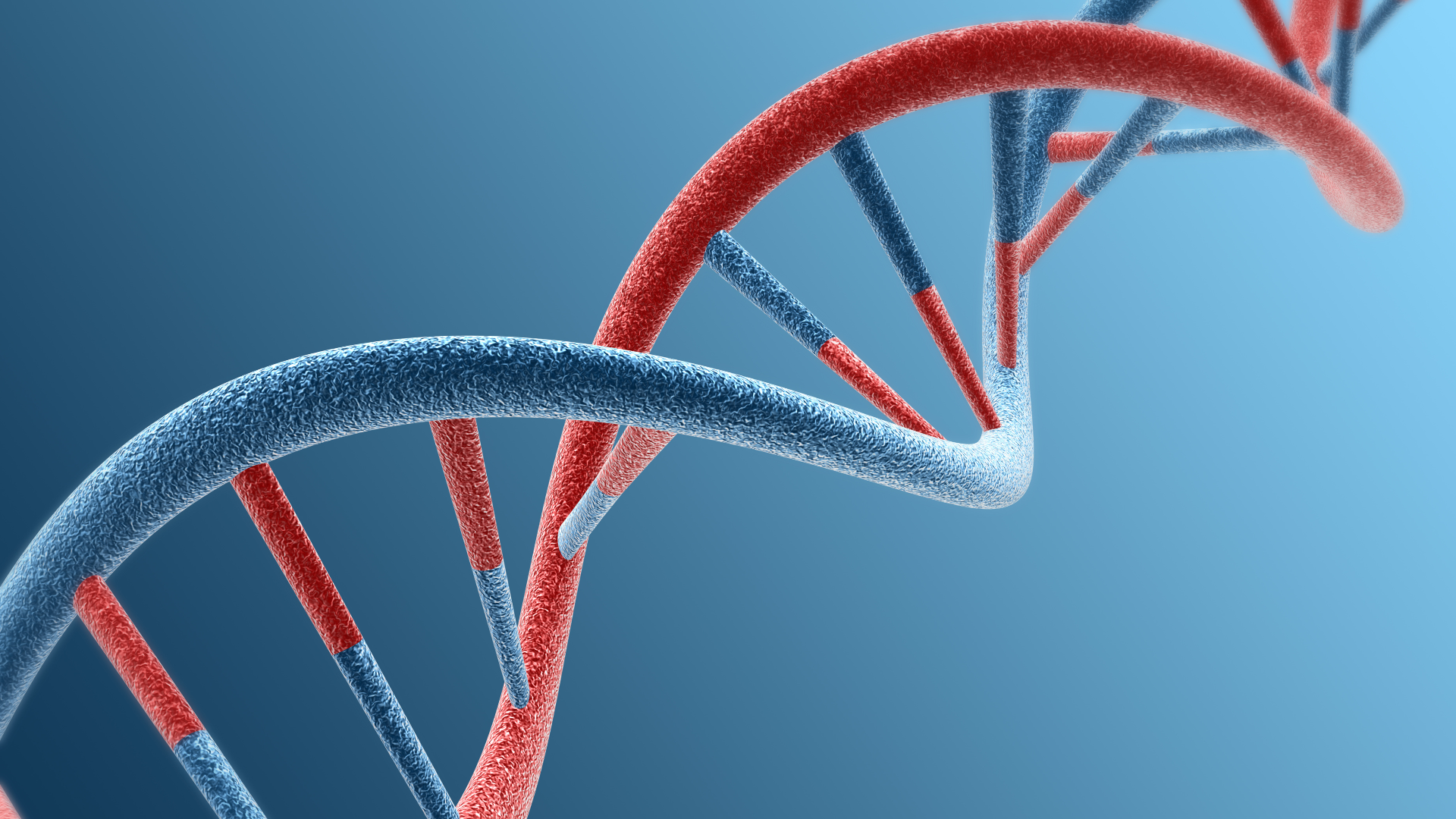 荆门ALK融合检测在哪里做