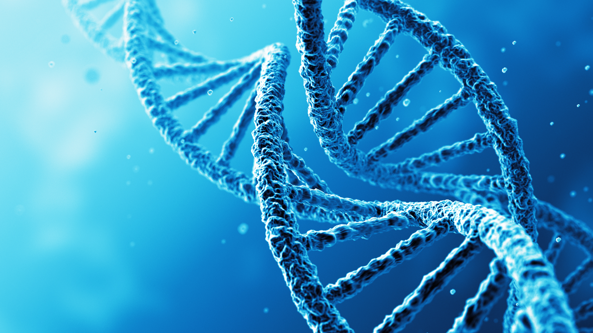 徐州HER2 FISH检测在哪