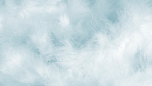 七臺河NGS基因檢測哪家公司可以做？