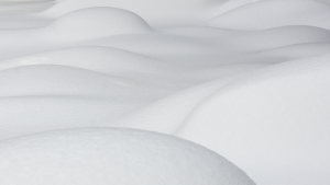 【指南】盤錦ALK融合檢測機構哪家好？怎么選？