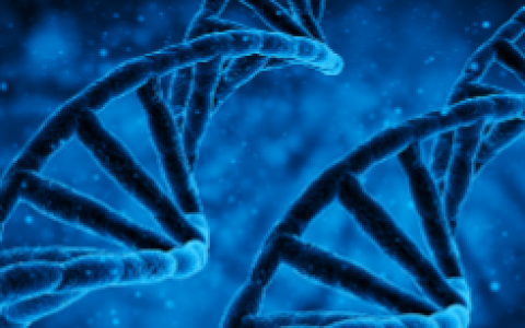 【科普】玉林PD-L1检测哪家机构好？7家机构排名与费用一览