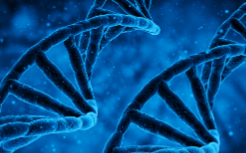 白城肠癌基因检测在哪里做