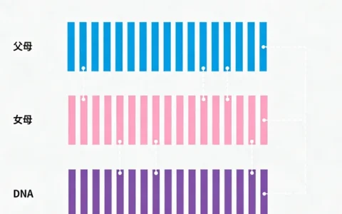 长春前列腺癌基因检测哪里做？2026正规机构推荐