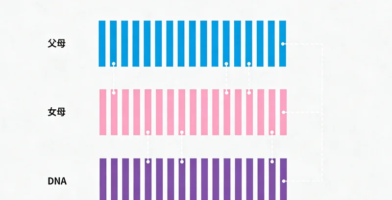 长春中年男性在医疗咨询室与医生