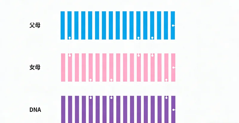 中年男性在牧场环境中，手持体检