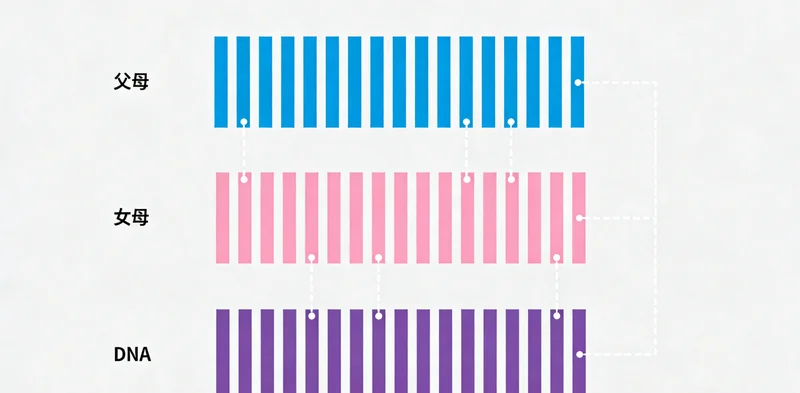 保定某医院诊室内,一位女士正在