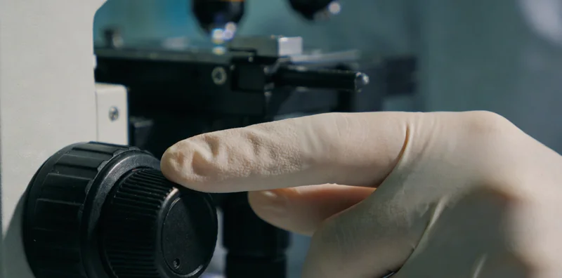 呼伦贝尔城市与草原交融的景象，象征自然与现代健康管理的结合