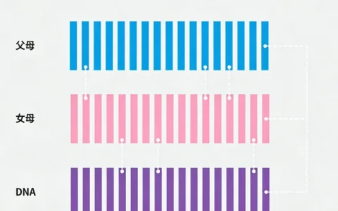 咸宁脑膜瘤基因检测的可靠机构