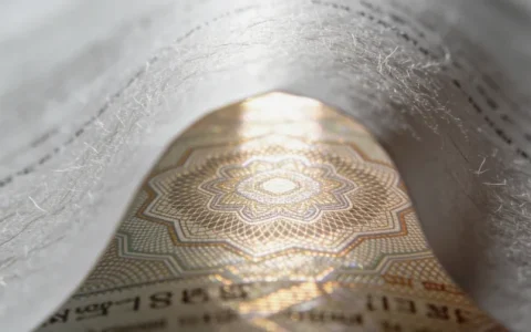 营口鼻咽癌基因检测公司有哪些