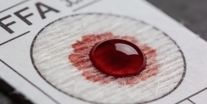 展示本地化检测服务流程的示意图