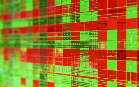 昌吉州BALF mNGS基因检测如何选择权威的公司