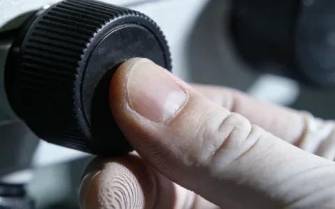 大庆血液mNGS基因检测哪家机构最好