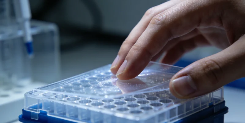 河源城市建筑与医疗环境示意