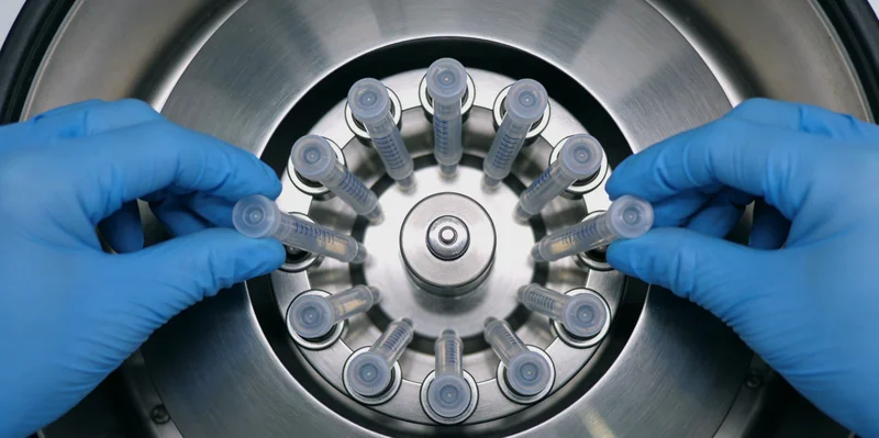 黄冈城市景观,示意环境与健康关