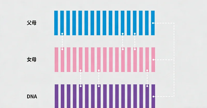 展示健康肺部与预防结核的创意图