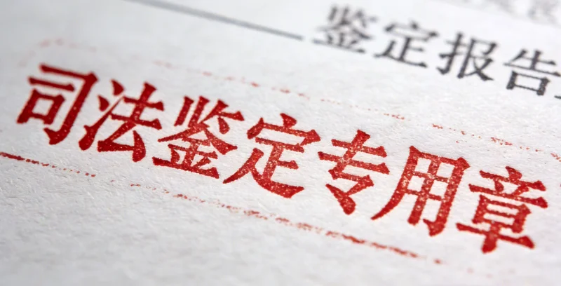 阳江海滨或城市景观，衬托安心健