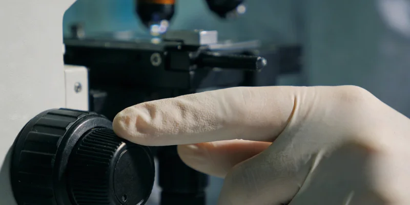 巨细胞病毒（CMV）结构模式图