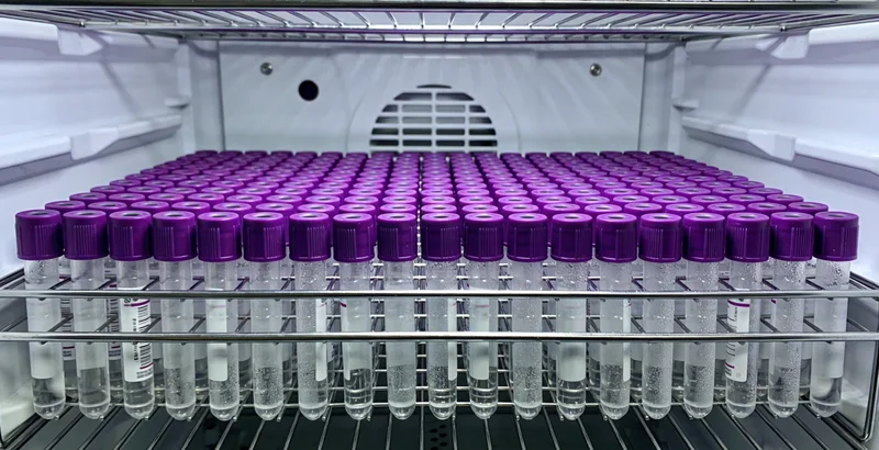 泰州某医院内,医生正在为患者分析脑部影像