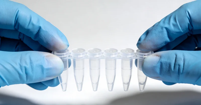 基于基因检测结果的健康管理路径