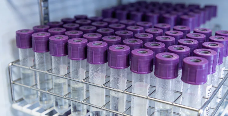 南阳夏季热闹的美食街场景，提示