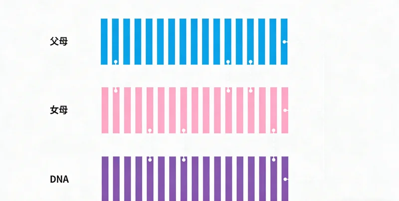 医生正在向咨询者讲解检测报告的