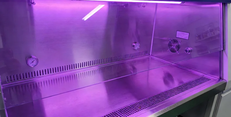 高危型HPV病毒结构及基因概念