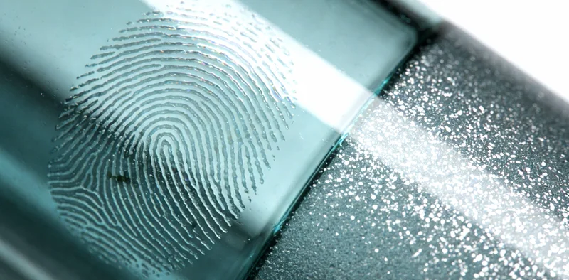 结核分枝杆菌与非结核分枝杆菌在