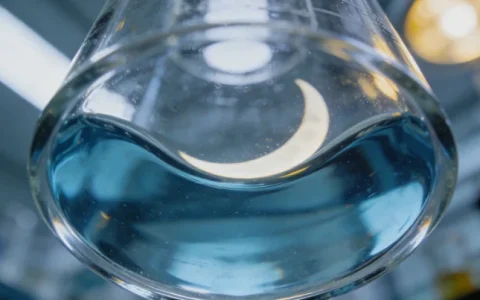 湘潭CMV基因检测哪家机构最好