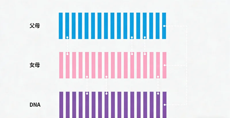 包含重要注意事项的温馨健康提示