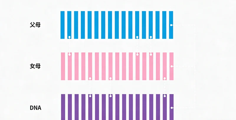 健康管理中心的专业顾问正在办公