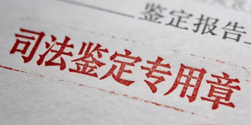 保山林业工作者在森林中作业的场