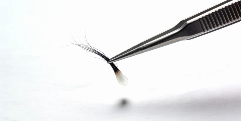 医生向患者提供健康管理建议的场