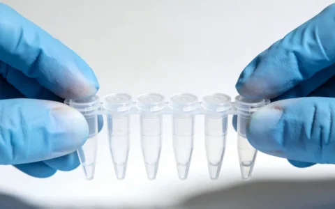 黄石白血病基因检测检测机构