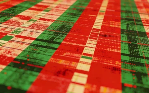 贵港HPV分型基因检测公司有哪些