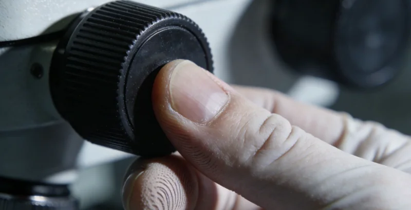 不同类型检测机构的对比分析示意