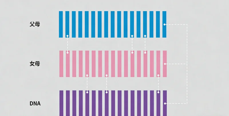 一位遂宁市民在查看环境湿度计,