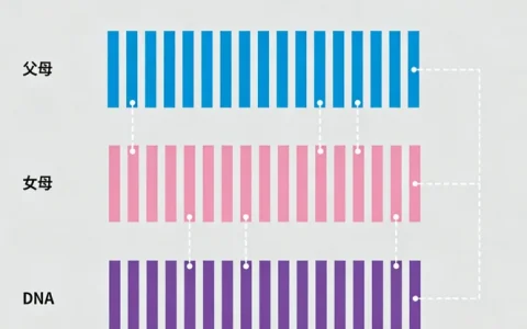 龙岩CMV基因检测专业机构有哪些？