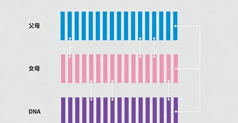 电子显微镜下的巨细胞病毒(CM
