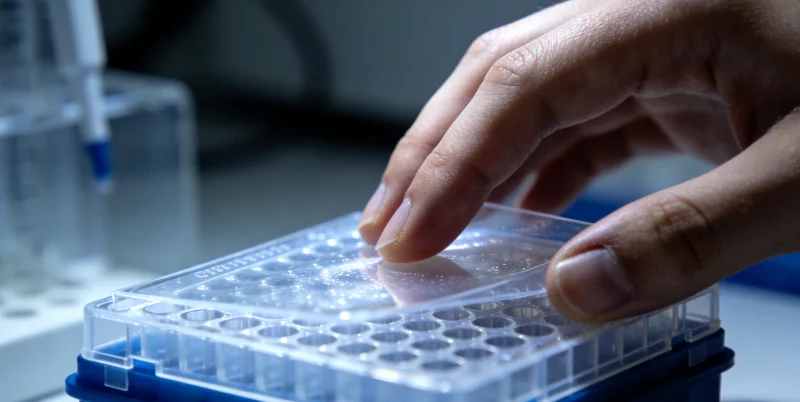 林业劳动者在自然环境中工作的场