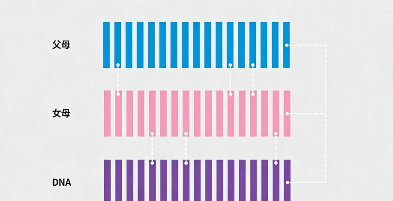 非结核分枝杆菌在显微镜下的形态