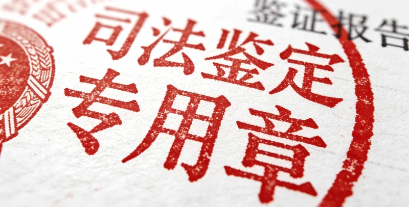 特写镜头:一份清晰的亲子鉴定报