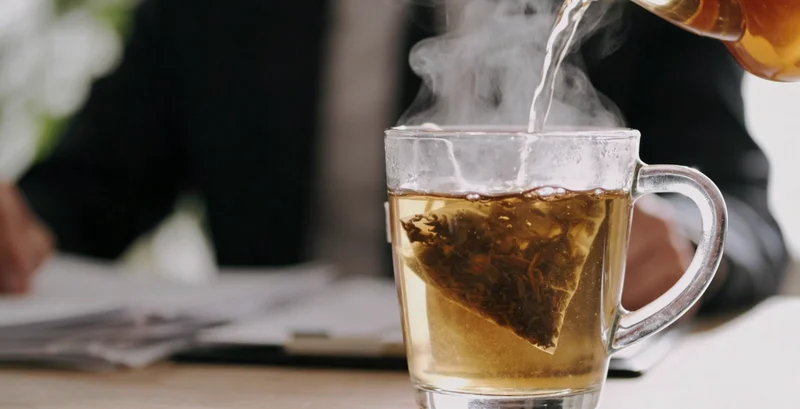 展示多种不同形状的呼吸道病原体