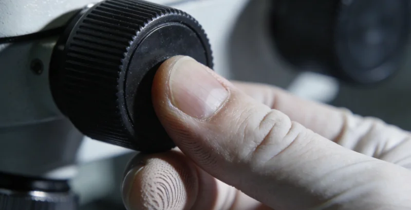 电脑屏幕上显示着复杂的病原体基