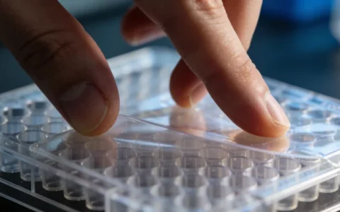 酒泉HPV分型基因检测去哪查？2026年正规检测机构地址汇总