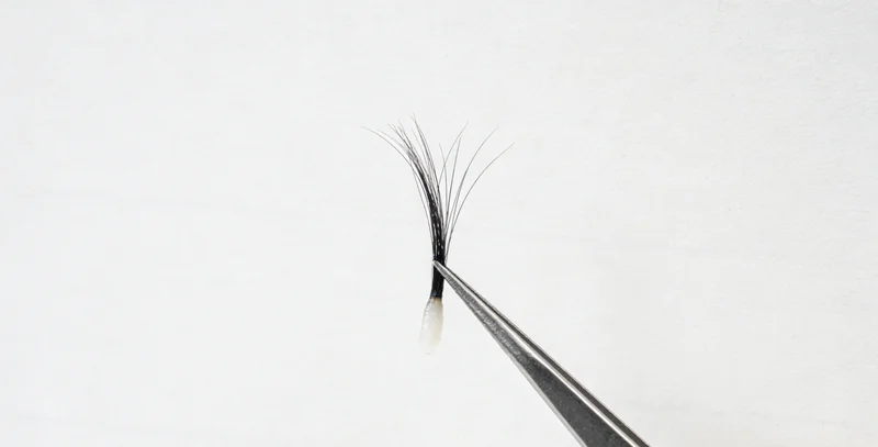 富含膳食纤维的多样健康食物，象