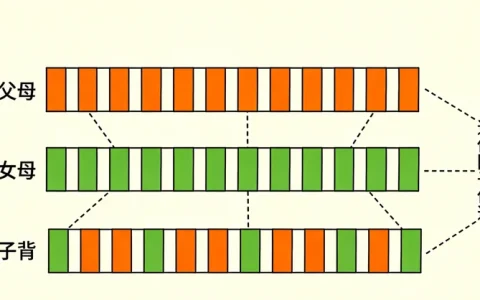 台州肠癌基因检测攻略4家靠谱机构与2026年信息归纳