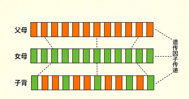 台州特色海鲜餐桌,提示饮食与健康的关系