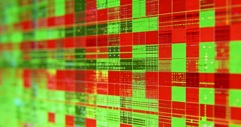 中卫城市景观，市民在公园散步，