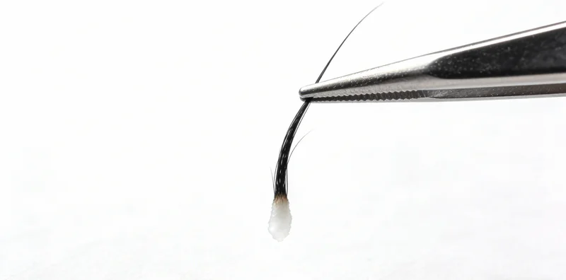 阳光下的贵港城市景观，寓意健康